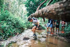 BIB: 
                            <button type="button" onclick="openModal(25372442)" class="btn btn-primary btn-sm float-right btn-popup" data-toggle="modal" data-target=".modal-high-quality">
                        <i class="fas fa-shopping-cart"></i> Add to Cart
                    </button>
                                            <button type="button" onclick="isThisMe(25372442, true)" class="btn btn-success btn-sm float-right btn-popup btn-isme hidden" data-toggle="tooltip" data-placement="bottom" title="นี่คือรูปของคุณใช่ไหม คลิกที่นี่เพื่อเอาเข้าอัลบั้ม">
                        <i class="fas fa-plus"></i> Add to album
                    </button>
                    <button type="button" onclick="isThisMe(25372442, false)" class="btn btn-warning btn-sm float-right btn-popup btn-isnotme hidden">
                        <i class="fas fa-ban"></i> Remove from album
                    </button>